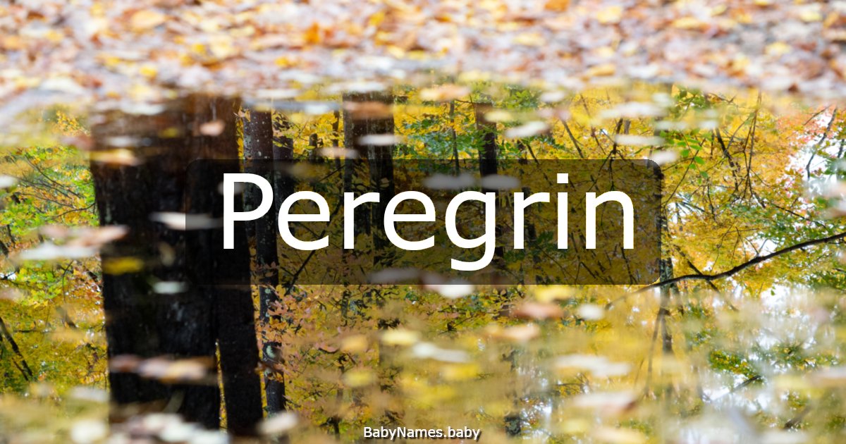 Peregrin