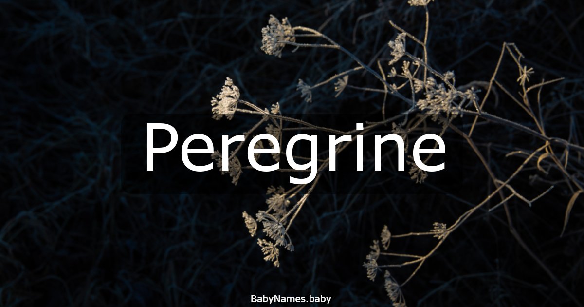 Peregrine