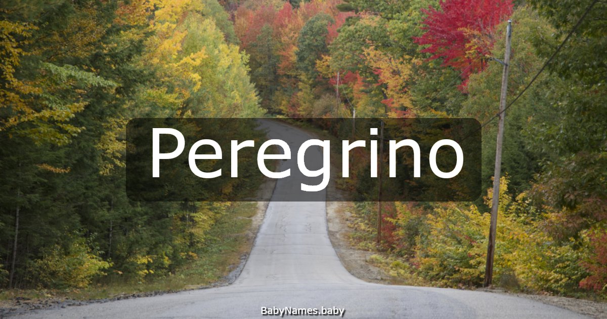 Peregrino