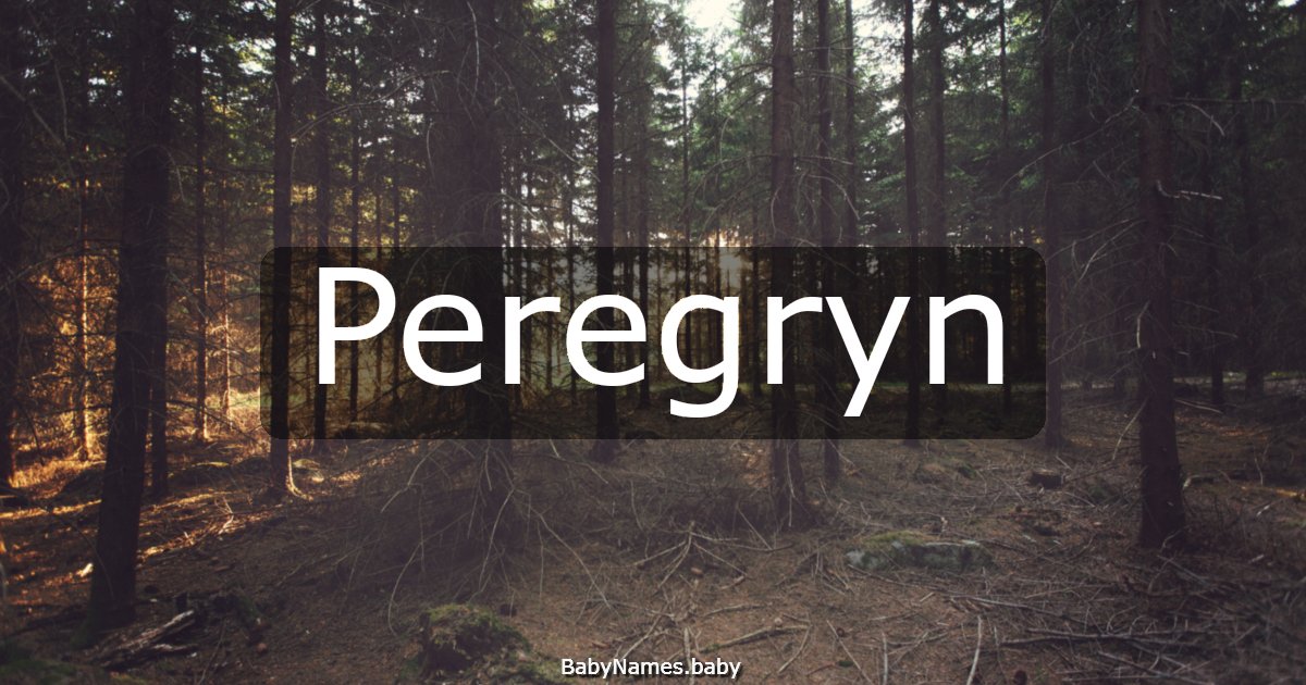 Peregryn