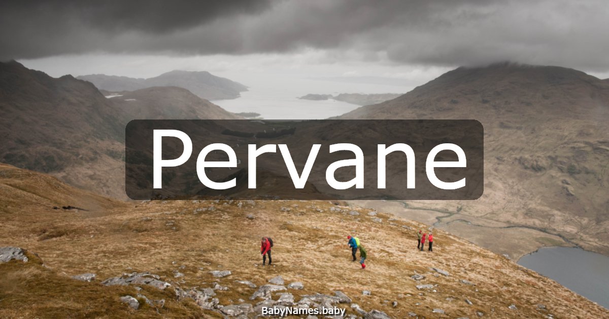 Pervane