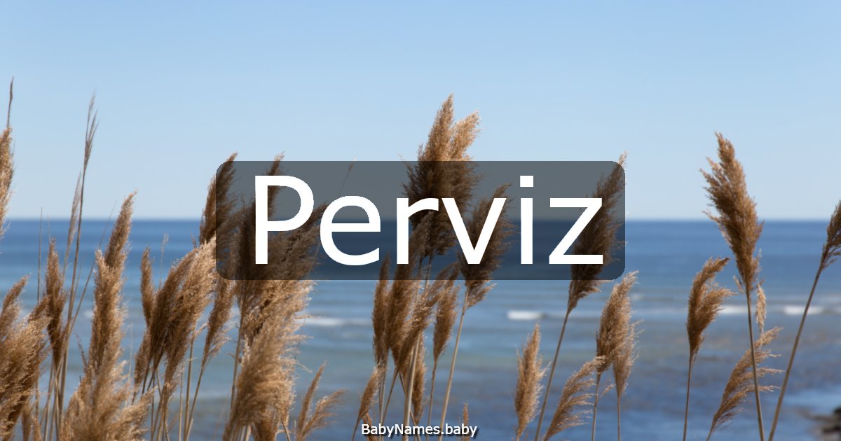 Perviz