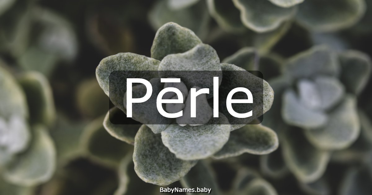 Pērle