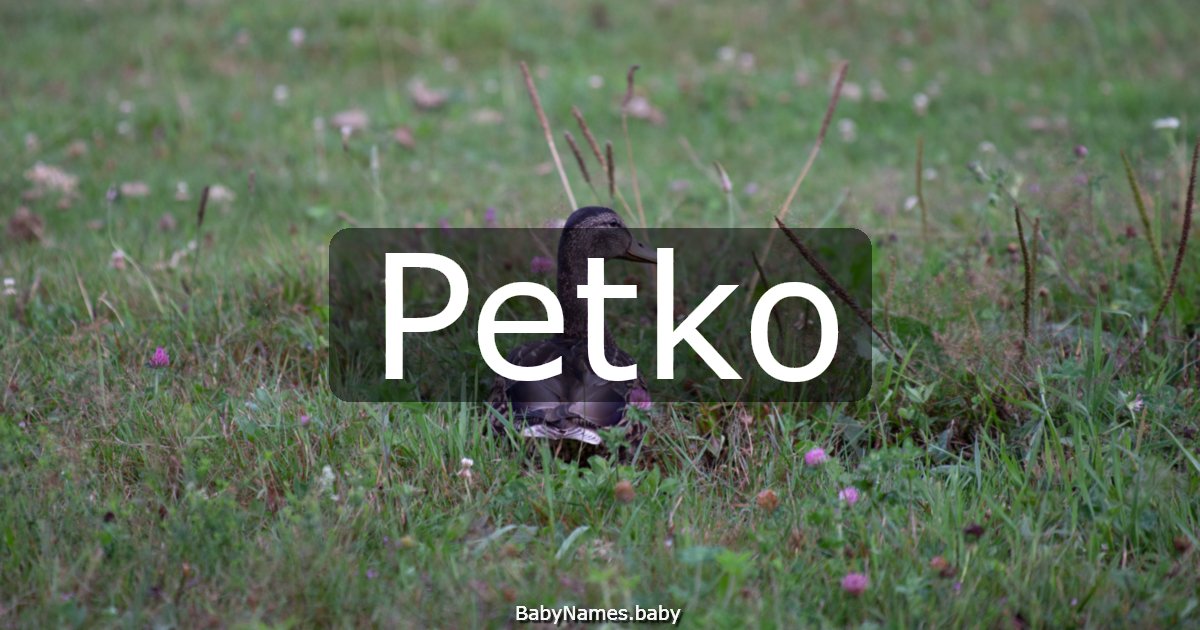 Petko