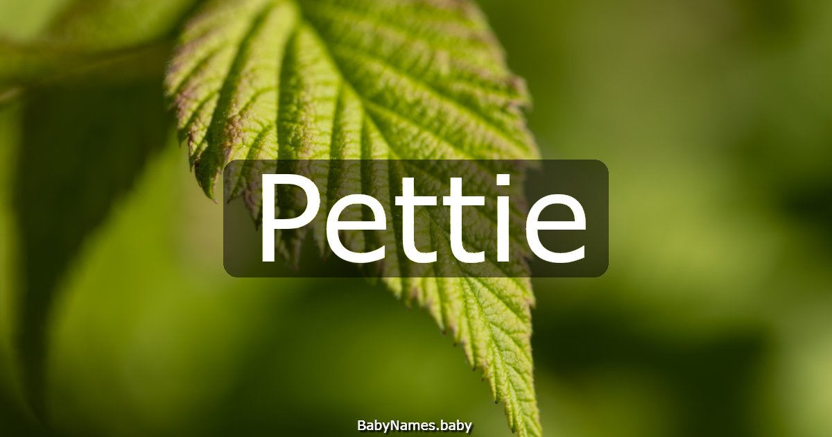 Pettie