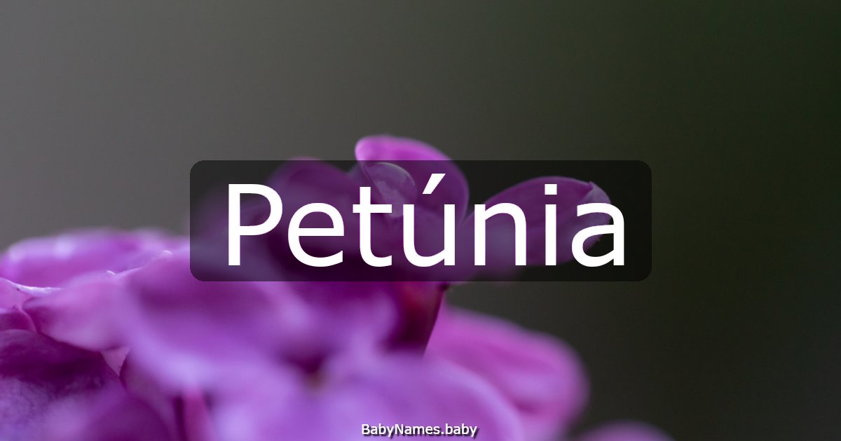 Petúnia