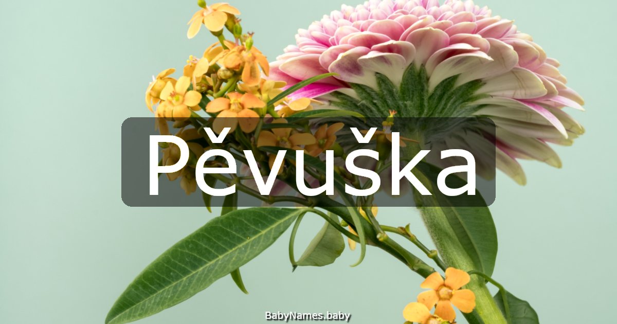 Pěvuška