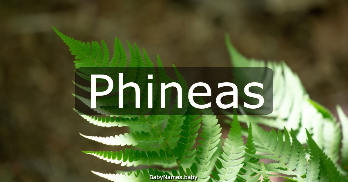 Phineas