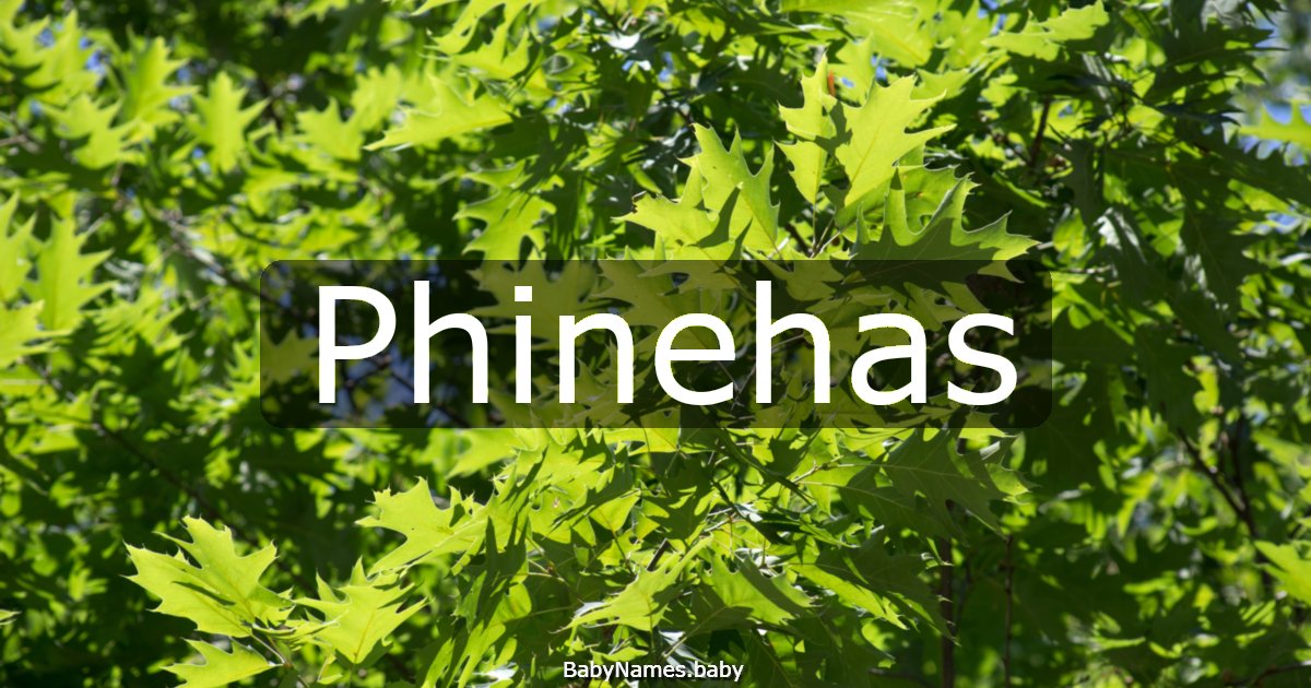 Phinehas