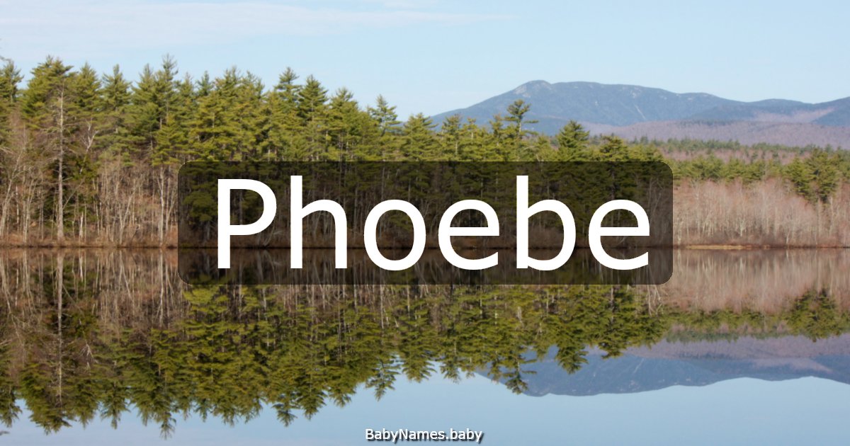 Phoebe