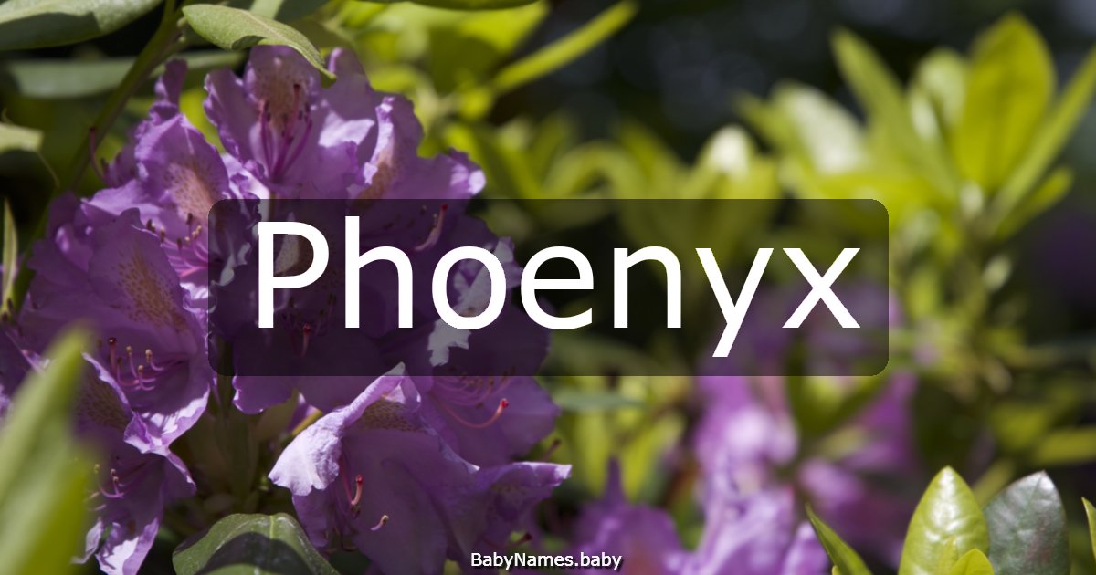 Phoenyx