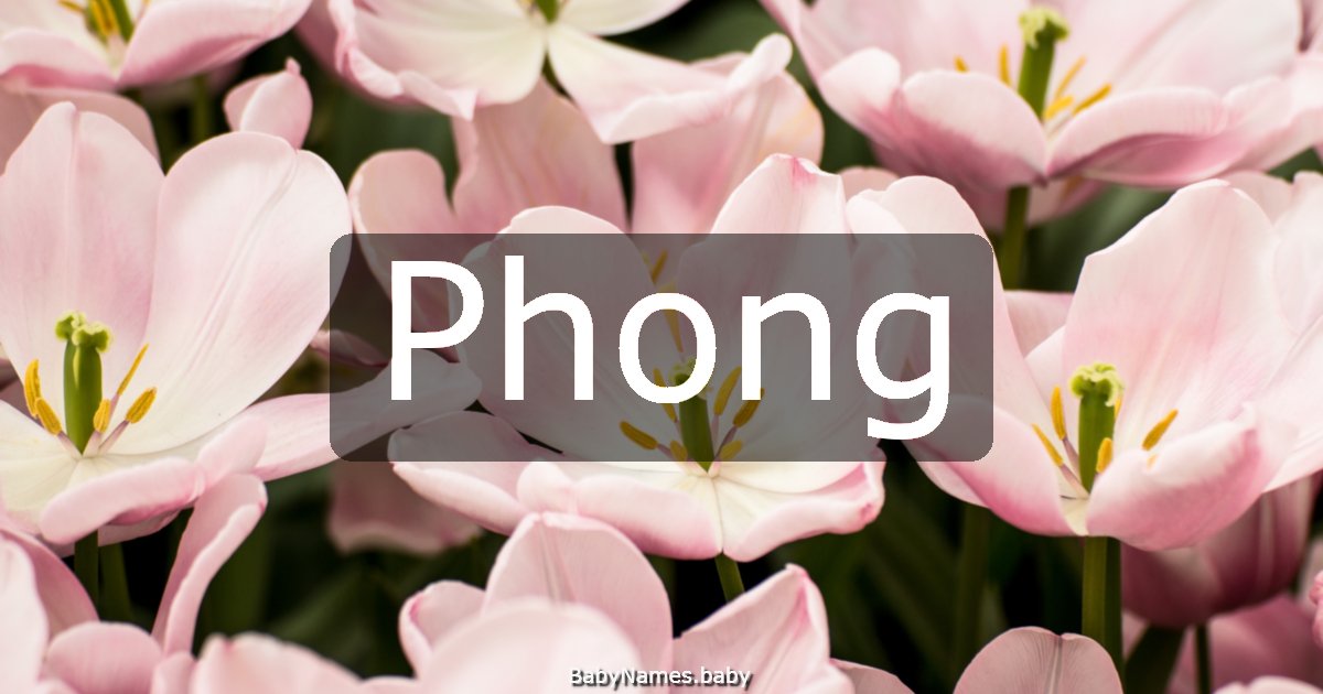 Phong