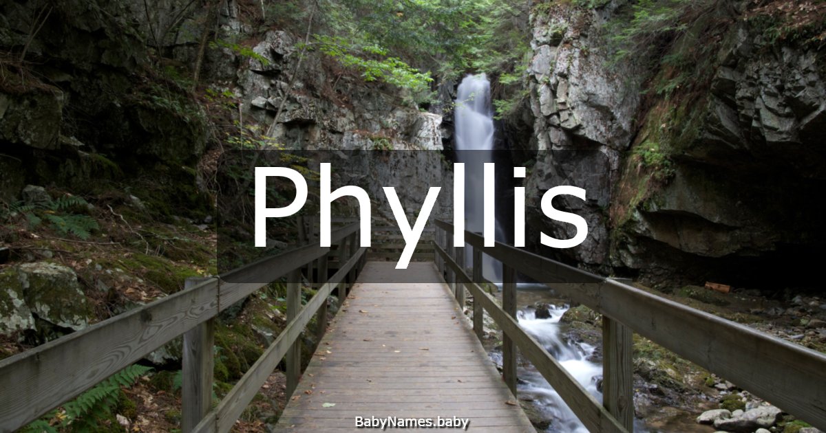 Phyllis