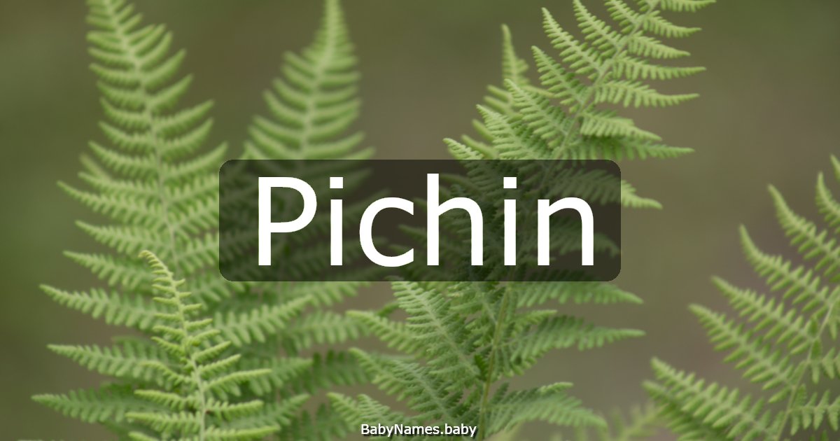 Pichin