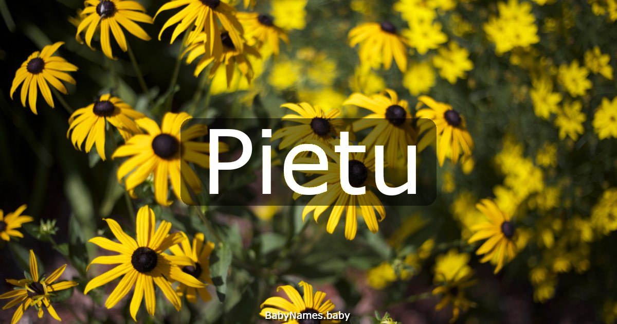 Pietu