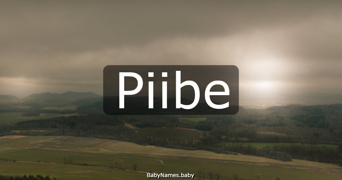 Piibe