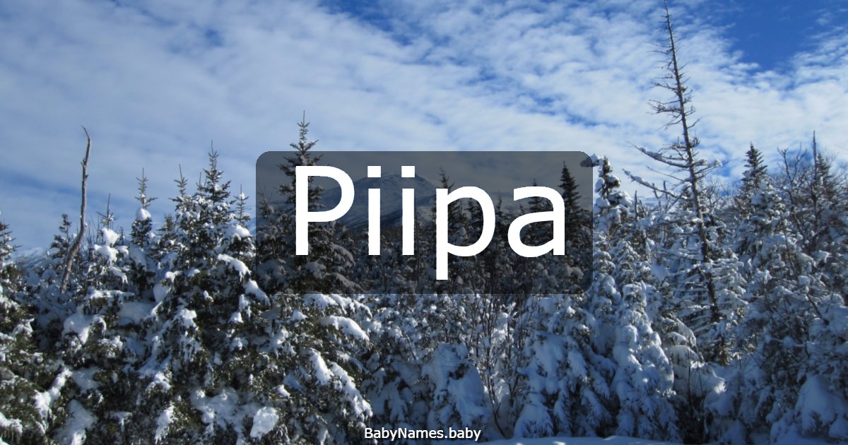 Piipa