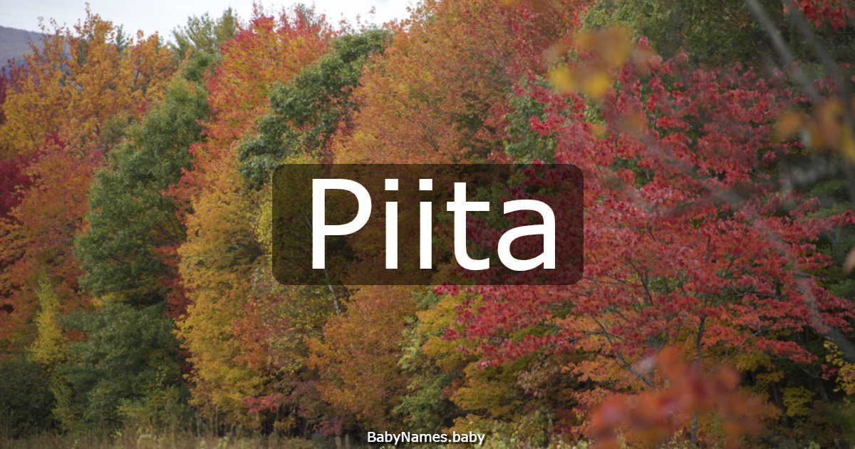 Piita
