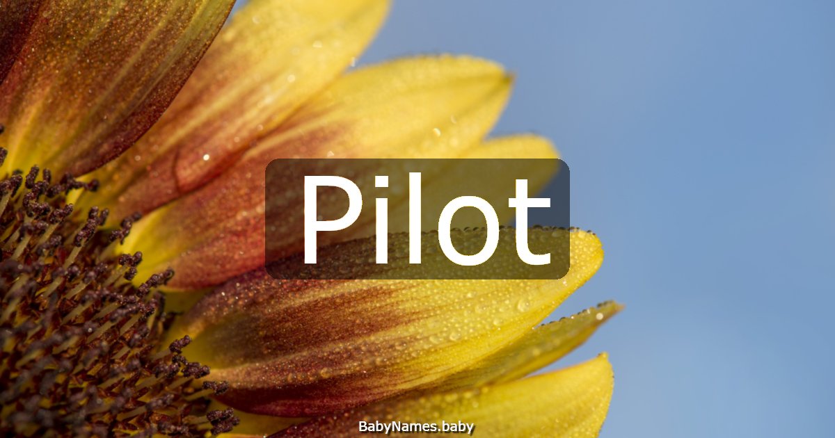 Pilot