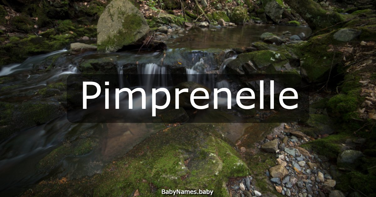 Pimprenelle