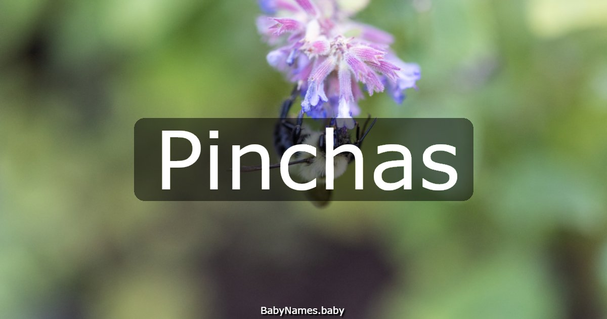 Pinchas