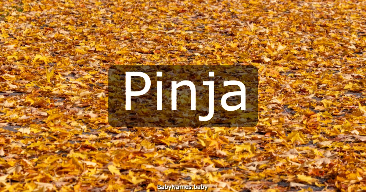 Pinja