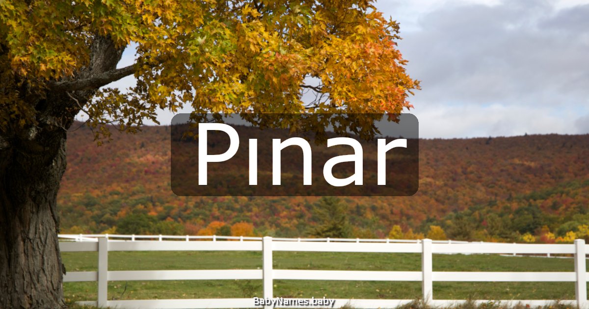 Pınar