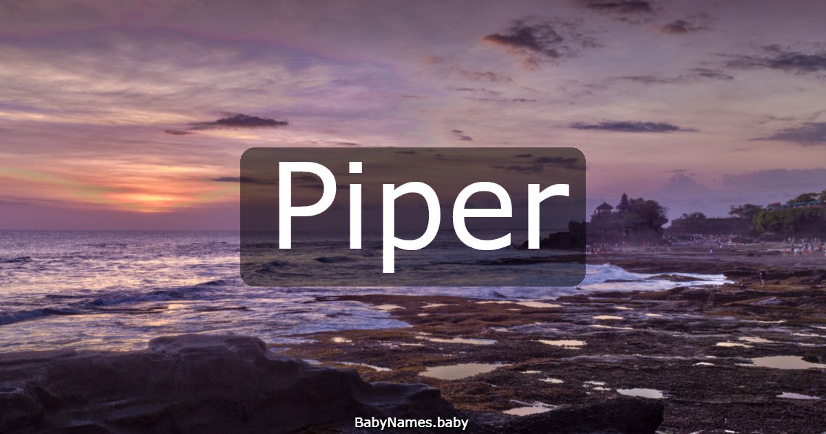 Piper