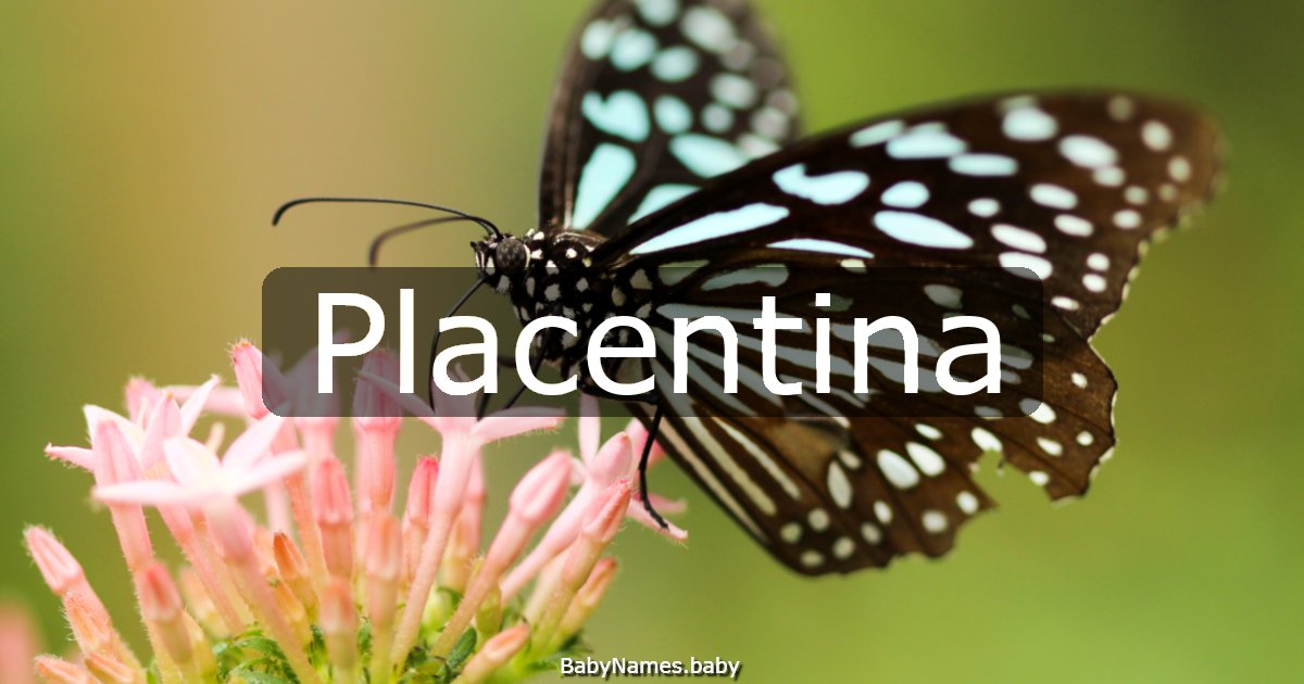Placentina