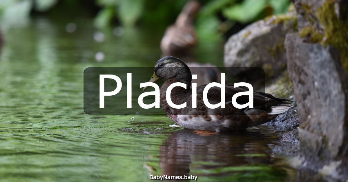 Placida