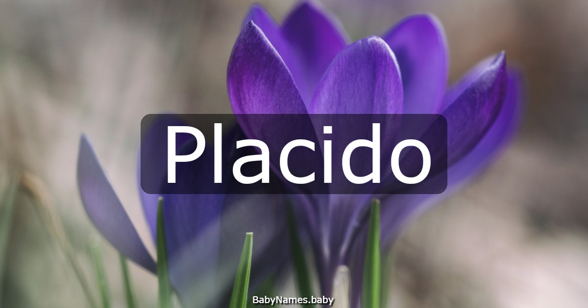 Placido