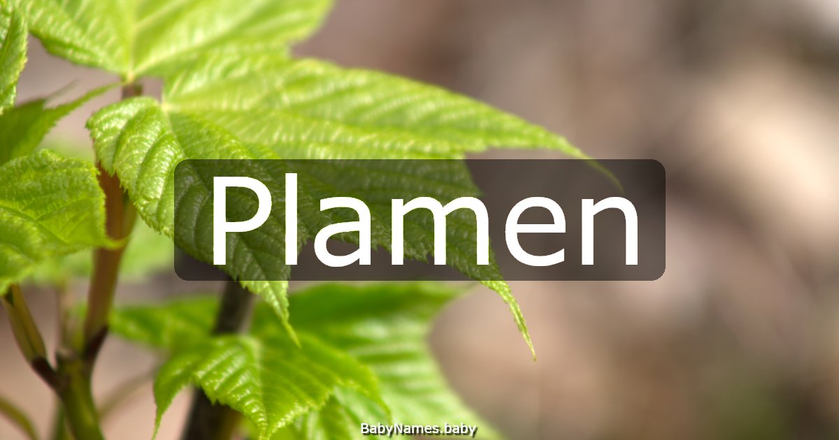 Plamen