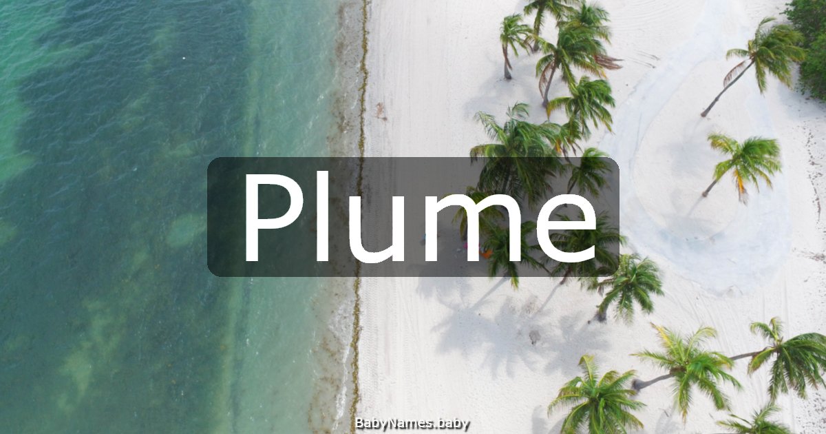 Plume
