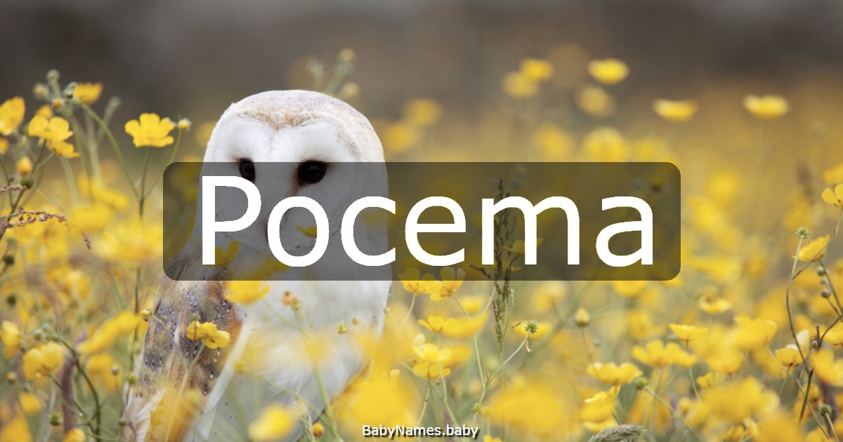 Pocema