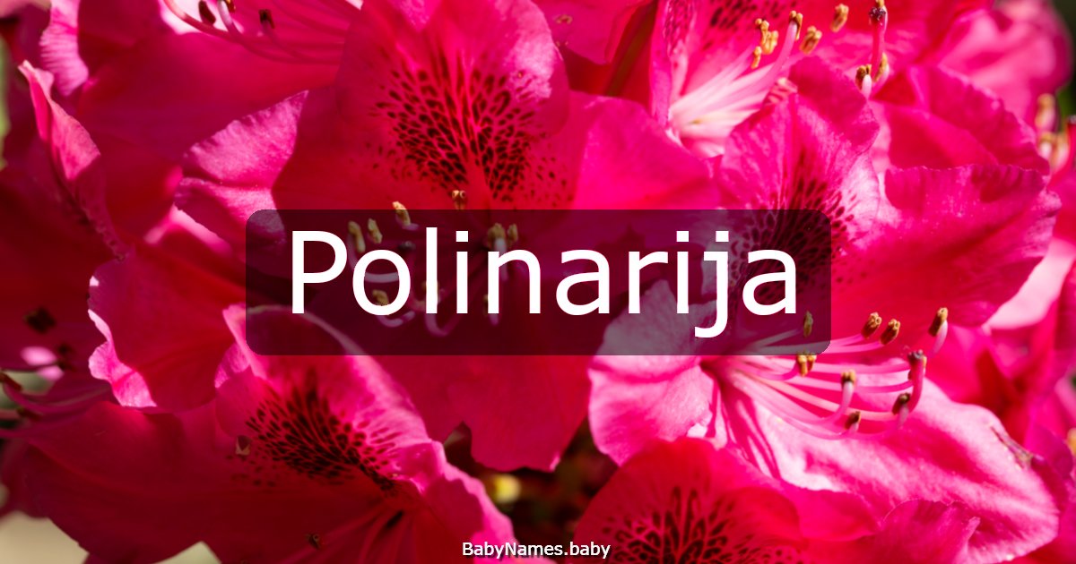 Polinarija