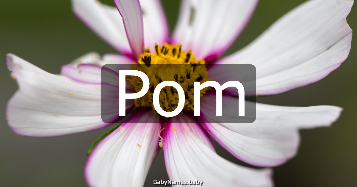 Pom