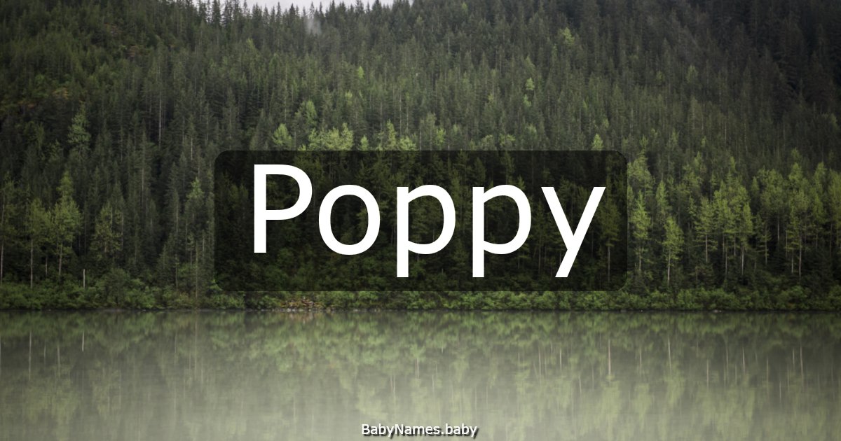 Poppy