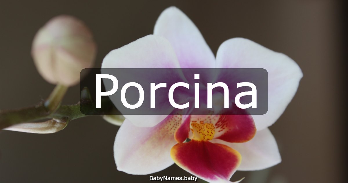 Porcina