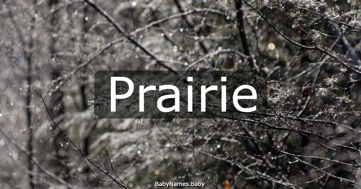 Prairie