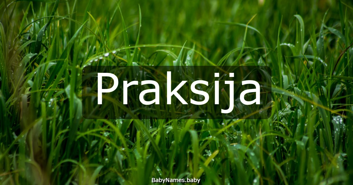 Praksija