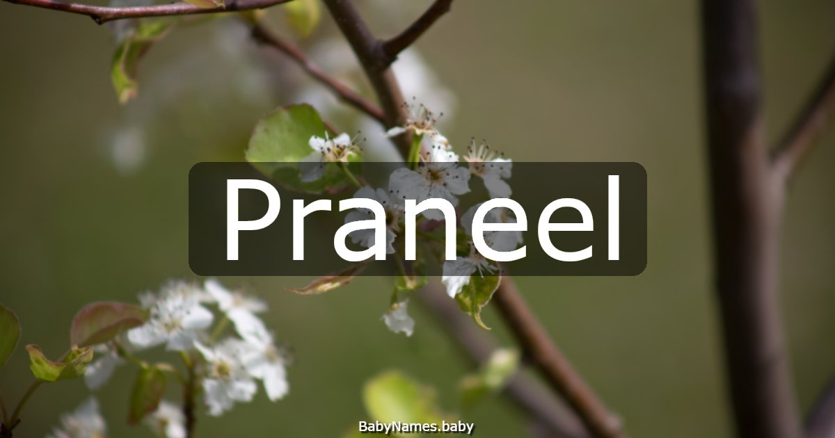 Praneel
