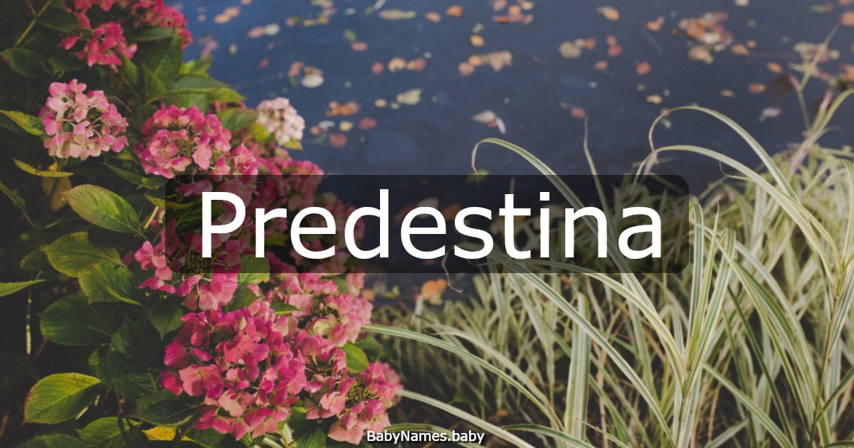 Predestina