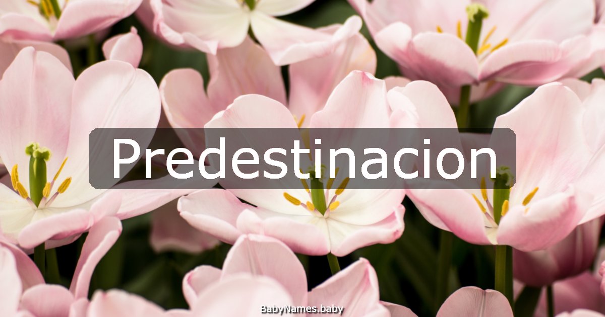 Predestinacion