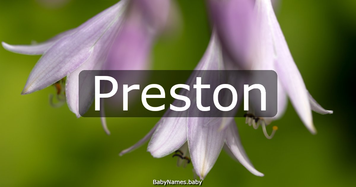 Preston