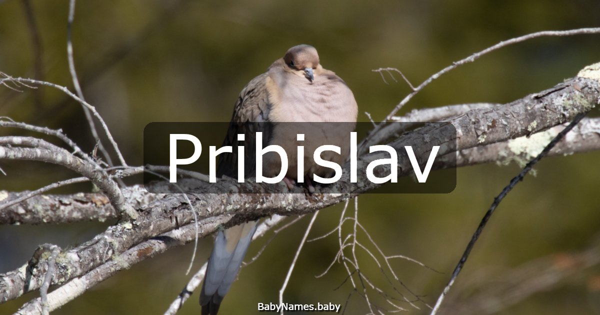 Pribislav