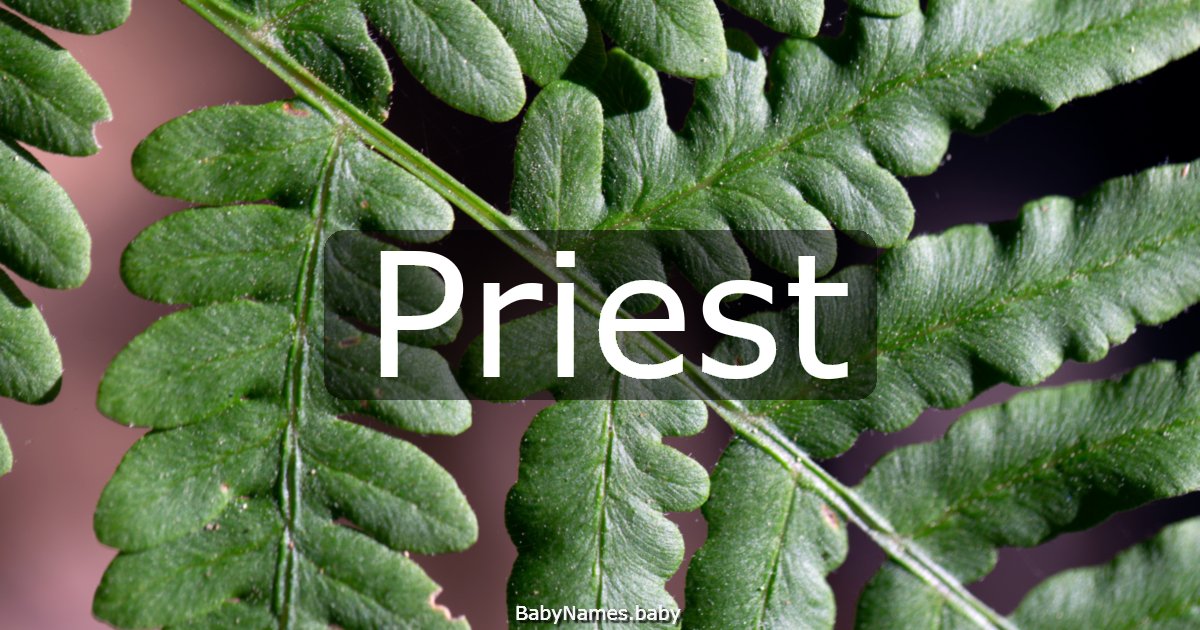 Priest