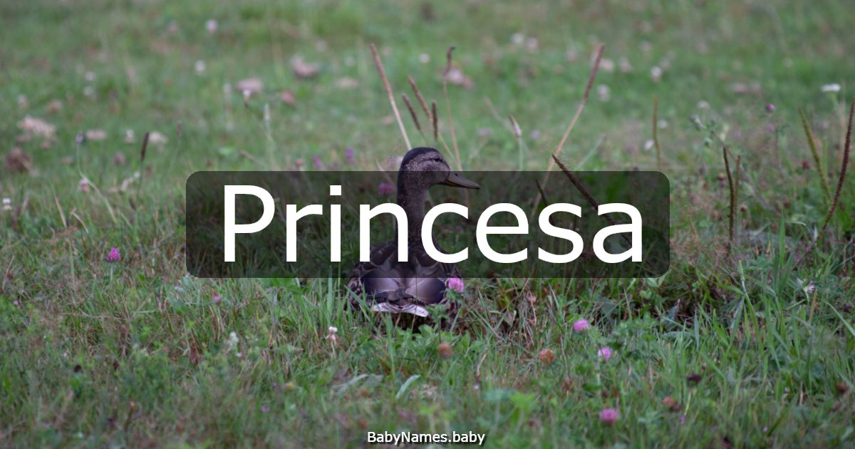 Princesa