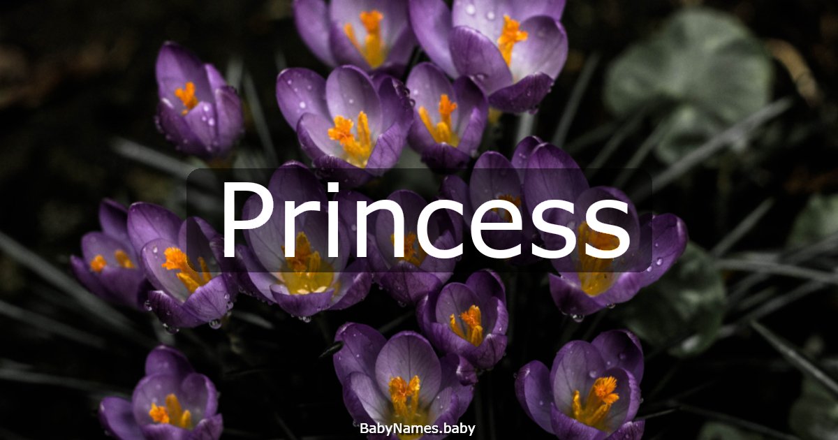 Princess