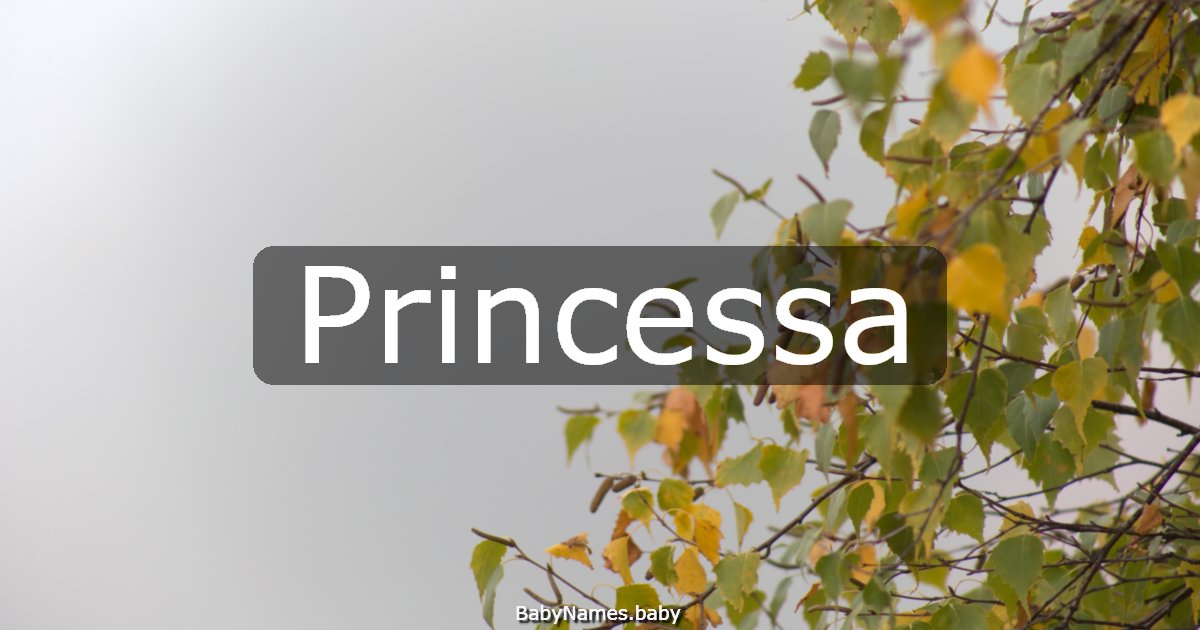 Princessa