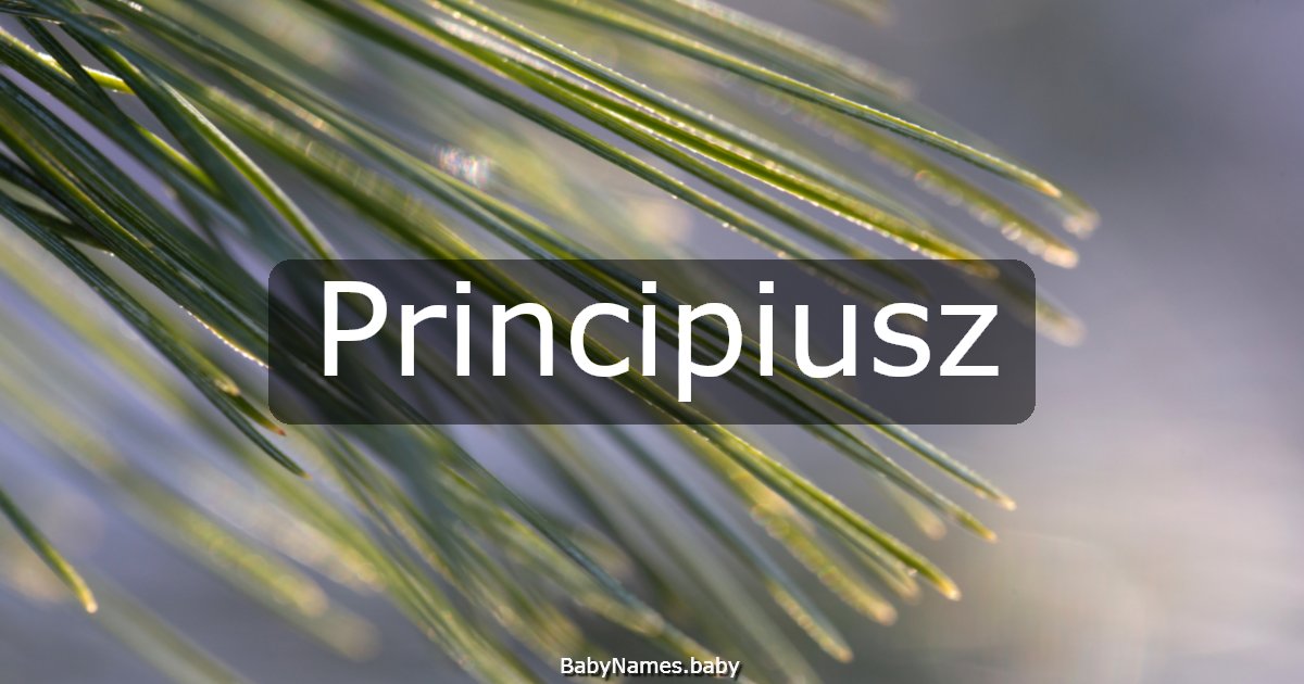 Principiusz
